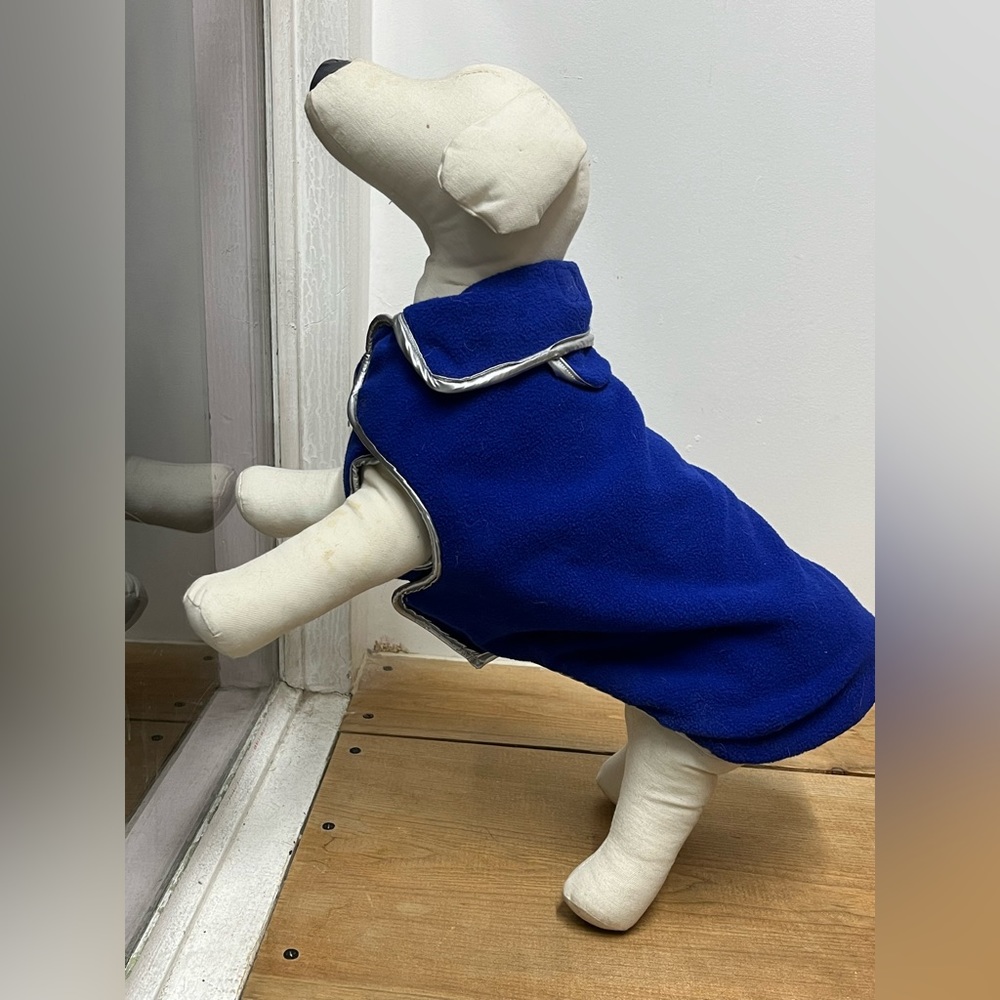 Model Dog - Picture 3 of 6